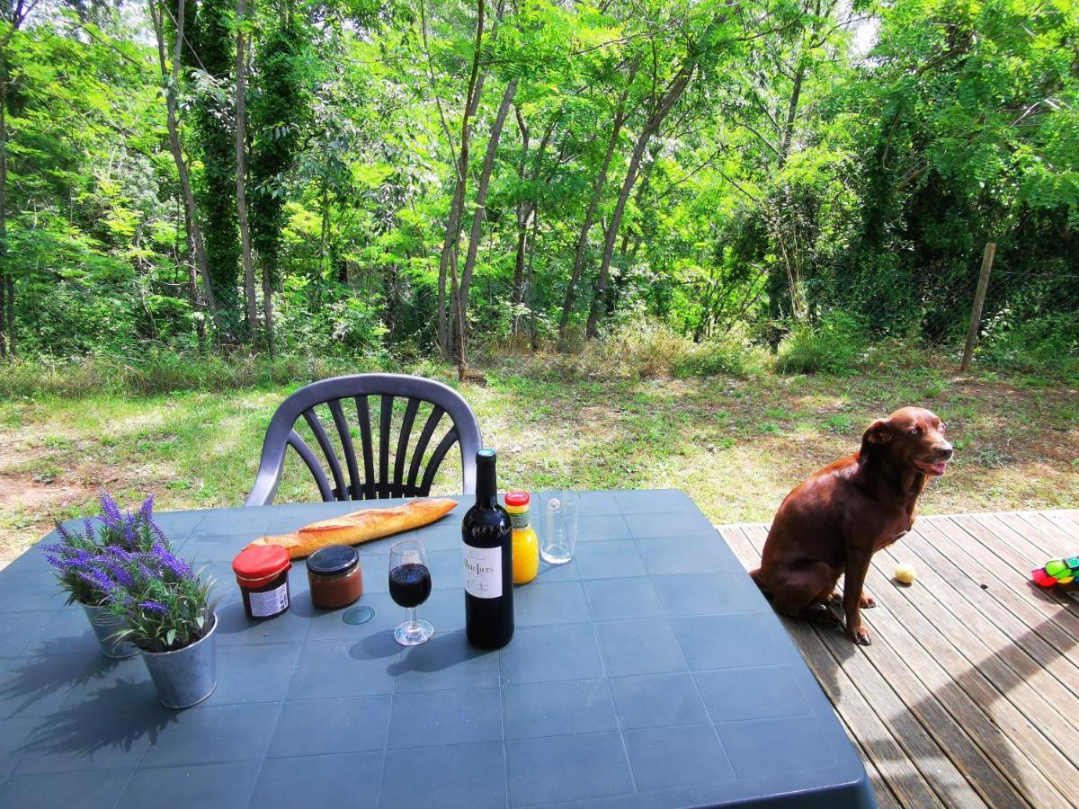 Camping Le Coin Charmant Chauzon Eksteriør billede